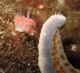 Thumbs/tn_DSechelt 034.jpg